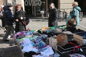 Un gatto si aggira per il mercato: &egrave; Rossini!