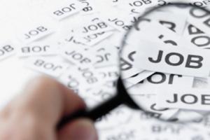 Le offerte di lavoro