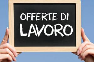 Offerte a Rovigo