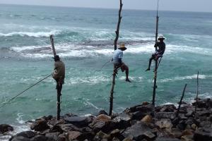 Sri Lanka, isola che risplende