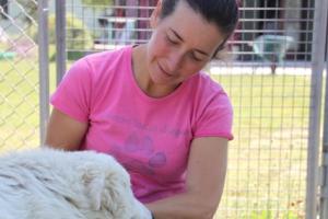 Bimbo e cane assieme? Bello, ma...