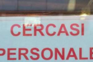 75 nuove offerte di lavoro a Rovigo