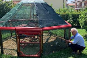 Pet Therapy con conigli e galline!