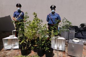 Cocaina e cannabis, doppio arresto dei carabinieri