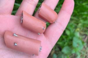 Trappole per i nostri amici