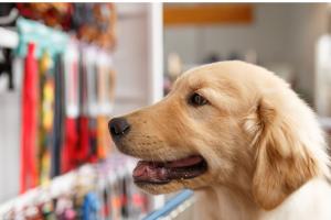 Boom di negozi per animali