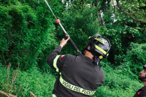 Parco Langer salvato dalle fiamme