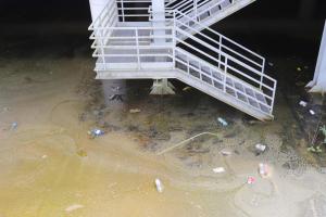 “Prosciugate quell’acquitrino”