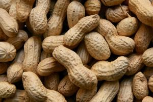Arachidi?  Alleate della salute