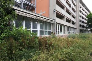 Una jungla nel cuore del quartiere