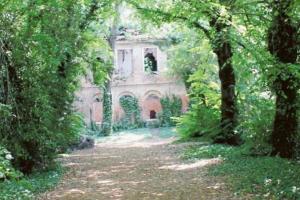 Bosco Langer chiuso da un recinto