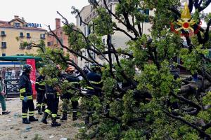 Tragedia sfiorata a Venezia: albero crolla su turisti