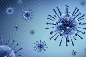 Allarme: nuovi virus nei pipistrelli cinesi