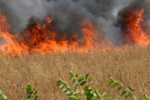 Troppo caldo, va a fuoco la campagna