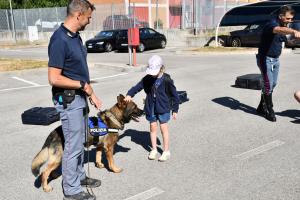 Che sorpresa al grest!