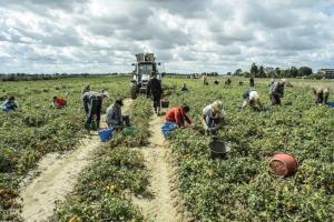 Brigate in campo contro il caporalato