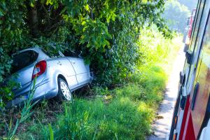 Salvati dagli alberi