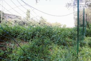 Vandali in azione a parco Langer