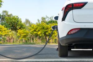 Entro due anni a Rovigo un'auto su tre sarà elettrica