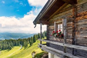 In montagna si vive meglio