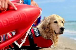 Bernice: ultimo salvataggio e pensione