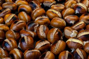 E' tempo di castagne, il dictat regionale