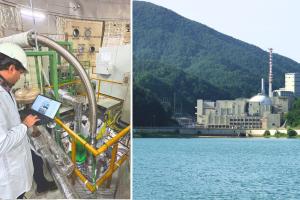 L'energia nucleare per crescere