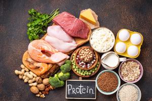 Proteine spiegata senza miti