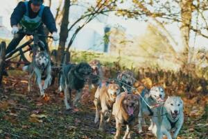 La Marca si prepara all’assalto