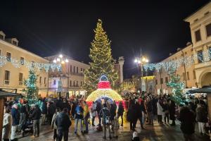Rovigo si accende per le feste: inizia la rincorsa al Natale
