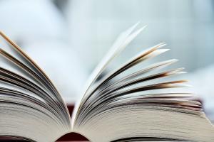 Rage bait, la scelta di Oxford