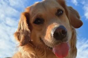 Raccolta fondi per pagarle la chemio