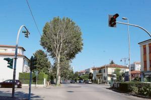 L’anno dell’addio al semaforo eterno