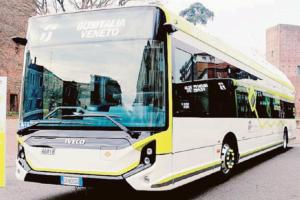 “Per i bus la certezza della linea”