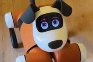 Ecco Alpha, il cane Robot