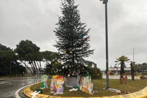 Vento e pioggia, a rischio l'albero del turista
