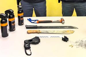 L'arsenale delle gang straniere