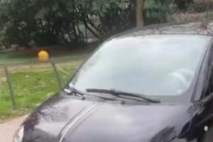 Sosta selvaggia alla stazione, auto multate