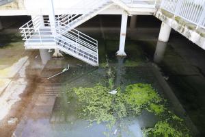 Un nuovo acquitrino all’ex Le Torri