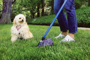 "Servono cartelloni: i proprietari devono raccogliere le deiezioni dei cani"