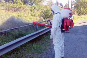 Allarme Dengue a Padova, scatta la disinfestazione
