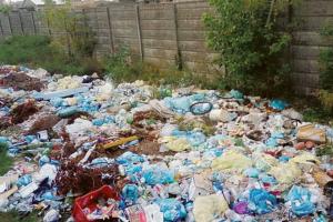 Montagna di rifiuti al cimitero