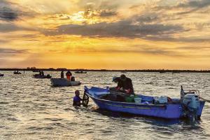 Pesca, Dall&rsquo;Ara non cambia idea