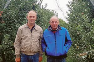 Cimice, &ldquo;senza aiuti sar&agrave; la fine&rdquo;