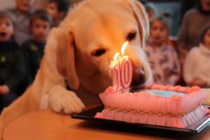 Problemi per Penny la mascotte