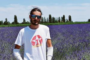 Vandali con l'auto sul campo di lavanda