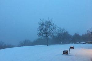 Arriva la neve, anche a bassa quota