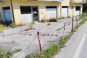 Tra rifiuti ed erba alta