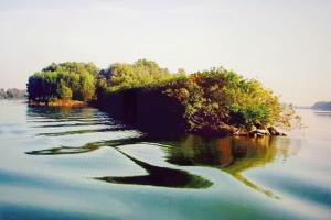 Bosgattia nella cultura europea