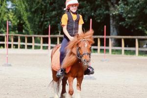 Domenica con febbre da... pony